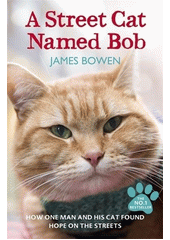 A street cat named Bob  Cover Image