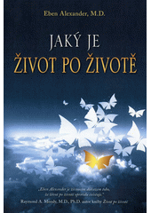 Jaký je život po životě  Cover Image